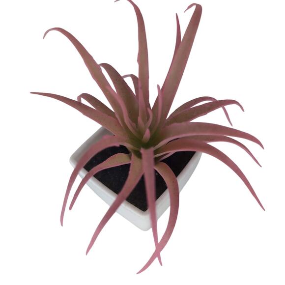 Mini Fake Faux Artificial Pink Succulent Potted Plant in Plastic White Pot - GUC - Picture 1 of 11